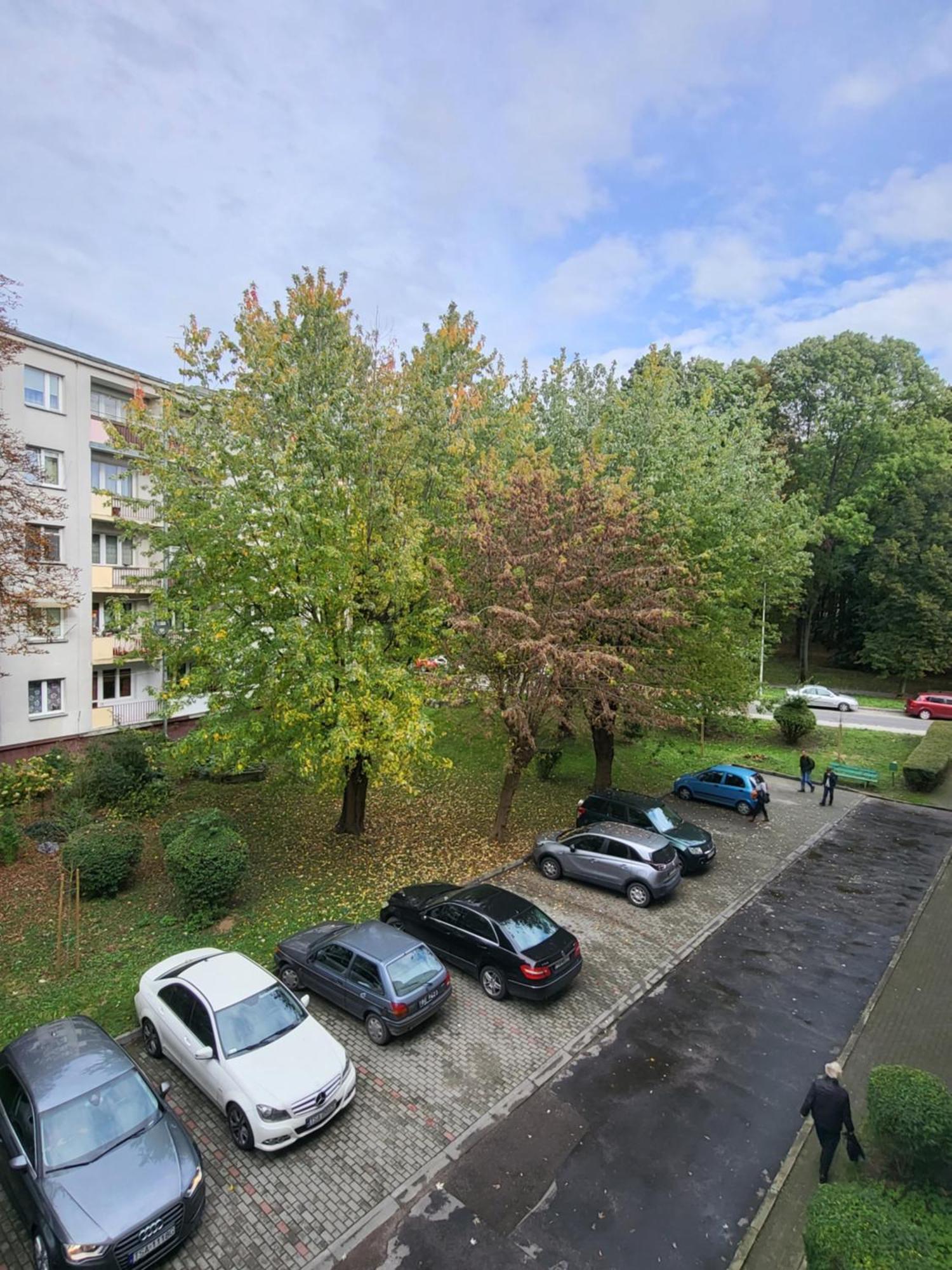 Apartment Przy Parku Saskim Sandomierz